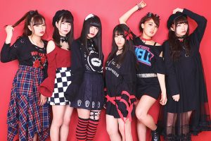 わんちゃんいやほい!