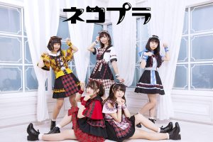 ネコプラ